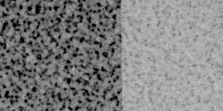 Cover A, the same crop brightened to bring out the pattern