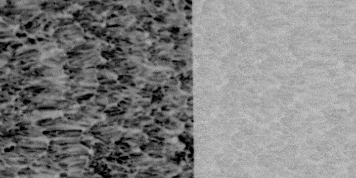 Cover B, the same crop brightened to bring out the pattern