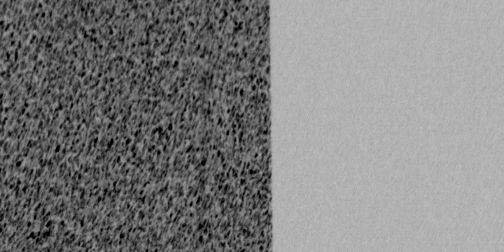 Cover C, the same crop brightened to bring out the pattern